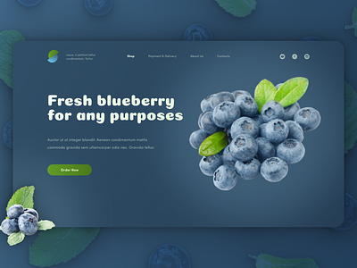 Blueberry berries berry blue blueberry design hero image ui ui design ux web web design