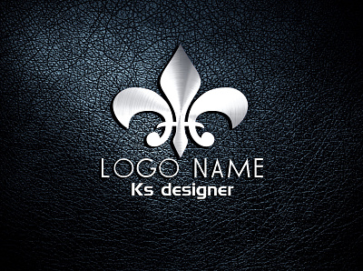 create a professional logo design