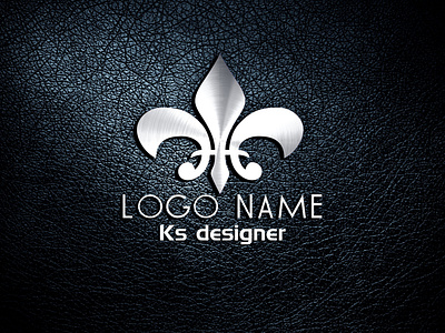 create a professional logo design