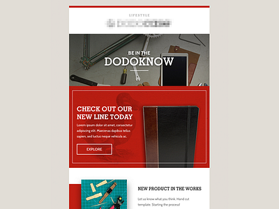 Newsletter Email Design