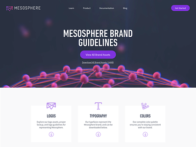 Mesosphere Brand Guidelines Concept brand color concept guidelines landing logo mesosphere press typography website