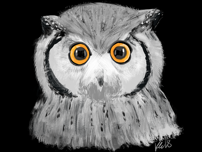 Indian eagle owl illustration digital painting illustration owl procreate