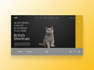 Kittycatz design flat ui ux web website