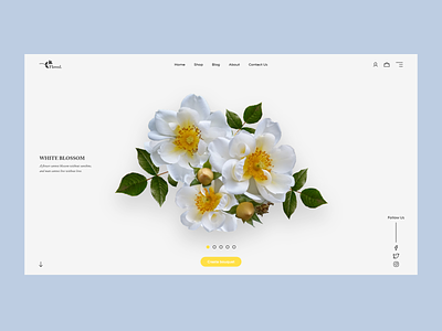 Floved. Online Store Concept design flat ui ux vector web website