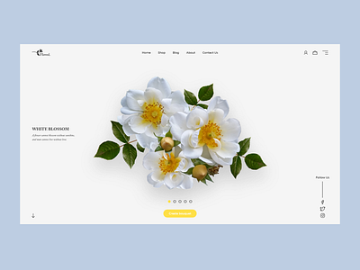 Floved. Online Store Concept