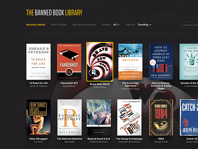 The Banned Book Library books library selection