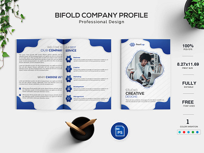 Bifold Company Profile Design