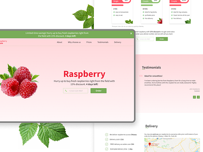 Landing page: raspberry selling berries berry fruit landing online page product raspberry sale selling ui ui design web