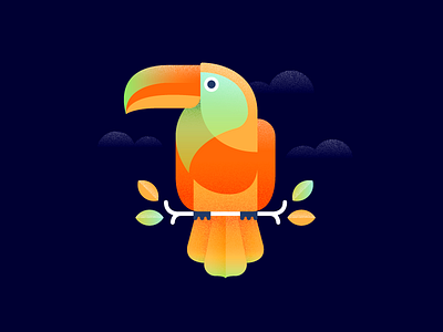 Toucan bird colorful illustration toucan