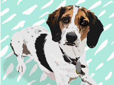 Pup with Turqoise Dash Background animal animal pet animal art dog illustration pet portrait portrait art vector