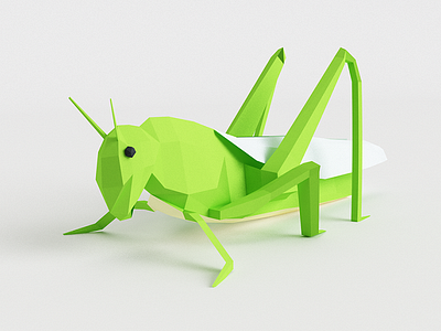 Grasshopper