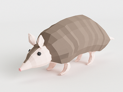 Armadillo 3d animal armadillo c4d character creature low poly vr