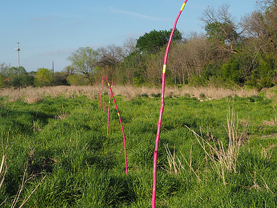 Pink poles