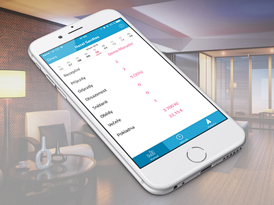 Plazaro iOS app: Dashboard