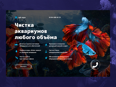 Aquarium cleaning / landing page aquarium fish landing landing page