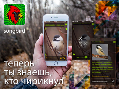 Songbird app concept ui ux