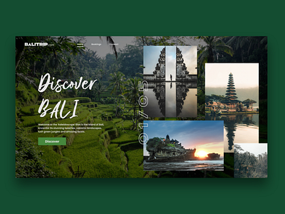 Discover Bali Design Concept