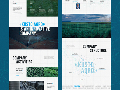 Web Design For An Agricultural Company