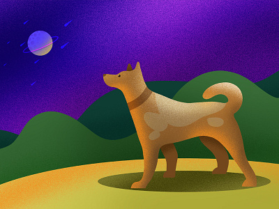 Pet & Night Sky dog illustration night sky photoshop wacom