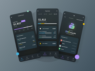 Financial Management App Design Concept app app design budgeting concept finance financial app minimal mobile app money app money management ui ui design