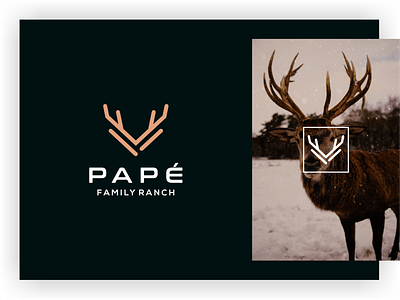 Pape Family Ranch deer deer logo horn line art logo minimal mono line