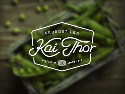 Kai Thor logo identity logo