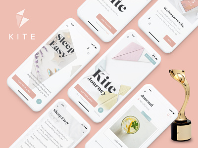Kite wins Gold at the Davey Design Awards! app app design award award winning clean design iphone x mindfulness minimal ui ui design ux ux design