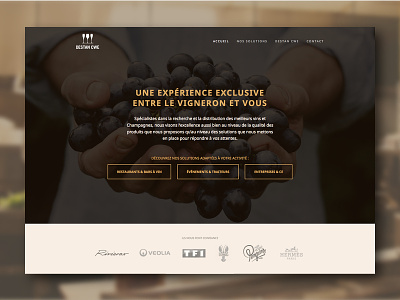 Close up - UI design for a French wine supplier destan etienne pigeyre french gold homepage studio dpe ui wine