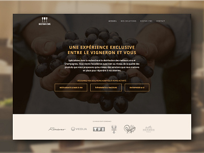 Close up - UI design for a French wine supplier