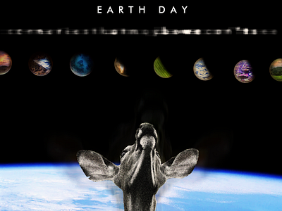 Earth Day 2019 collage earth earthday environment graphicdesign
