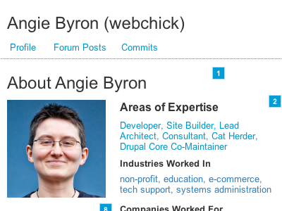 Community/User Profiles: Drupal.org