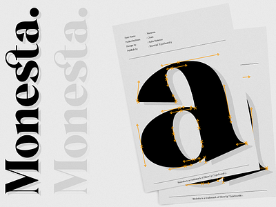 Monesta® | Serif Font