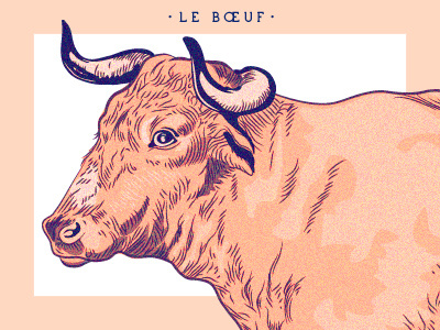 Le boeuf