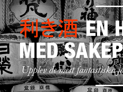 Next project! kanji sake type web design