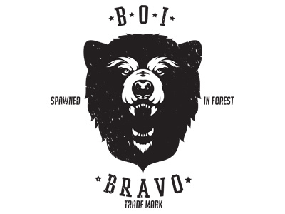 B-O-I bear brand mark trade