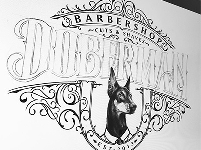 Doberman Barbershop sketch barbershop doberman illustration lettering logotype