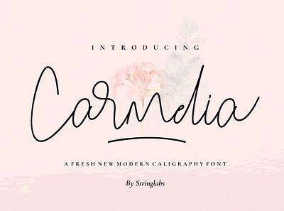 Carmelia - A Fresh Modern Calligraphy Font alternates calligraphy casual feminim handlettering handwritting lettering ligatures luxury modern monoline script signature vintage wedding