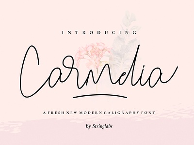 Carmelia - A Fresh Modern Calligraphy Font