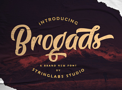 Brogads - Bold Script Retro Font