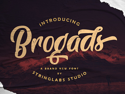 Brogads - Bold Script Retro Font