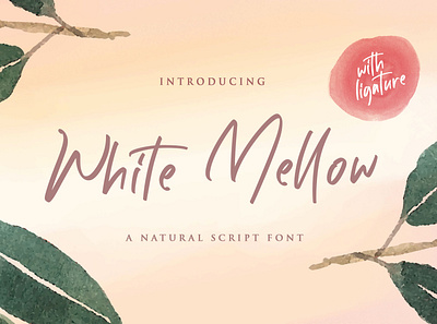 White Mellow - Handwritten Script Font calligraphy casual classy elegant feminime handdrawn handlettering handwritten ligature logotype luxury modern signature stylish whimsical