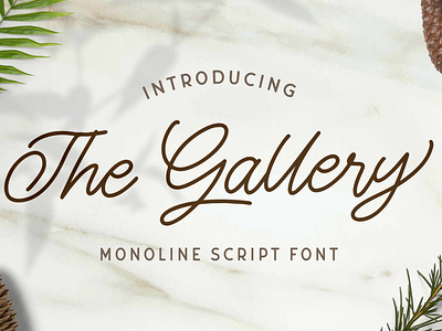 The Gallery - Monoline Script Font