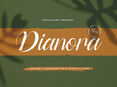 Dianora - Handwritten Font calligraphy casual classy elegant feminime handdrawn handlettering handwritten ligature logotype luxury modern signature stylish whimsical