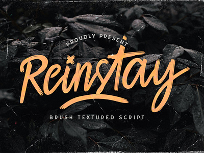 Reinstay - Brush Script Font