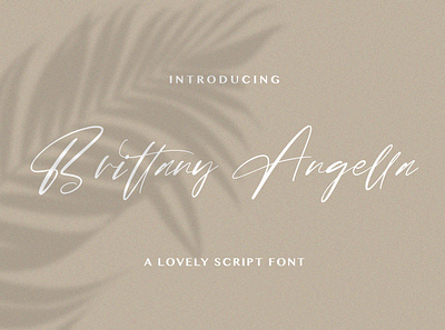 Brittany Angella - Lovely Script Font calligraphy casual elegant feminime handdrawn handlettering handwritten ligature logotype lovely luxury modern signature stylish whimsical