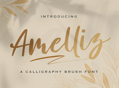 Amelliz - Calligraphy Brush Font brush calligraphy casual elegant feminime handdrawn handlettering handwritten ligature lovely luxury modern script stylish whimsical