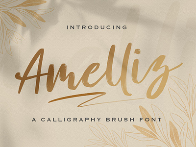 Amelliz - Calligraphy Brush Font