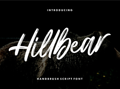 Hillbear - Handbrush Script Font boldscript brush brushpen calligraphy font handbrush handdrawn handlettering handwritten handwritting letter logotype modern script typography