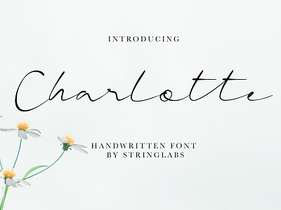Charlotte - Casual Handwritten Font calligraphy font handdrawn handlettering handwritten handwritting letter logotype modern otf script signature ttf typography woff