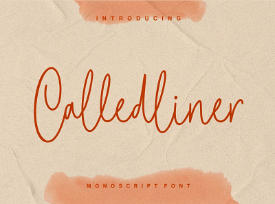 Calledliner - Monoscript Font calligraphy font handdrawn handlettering handwritten handwritting latin letter logotype modern monoline monoscript script signature typography